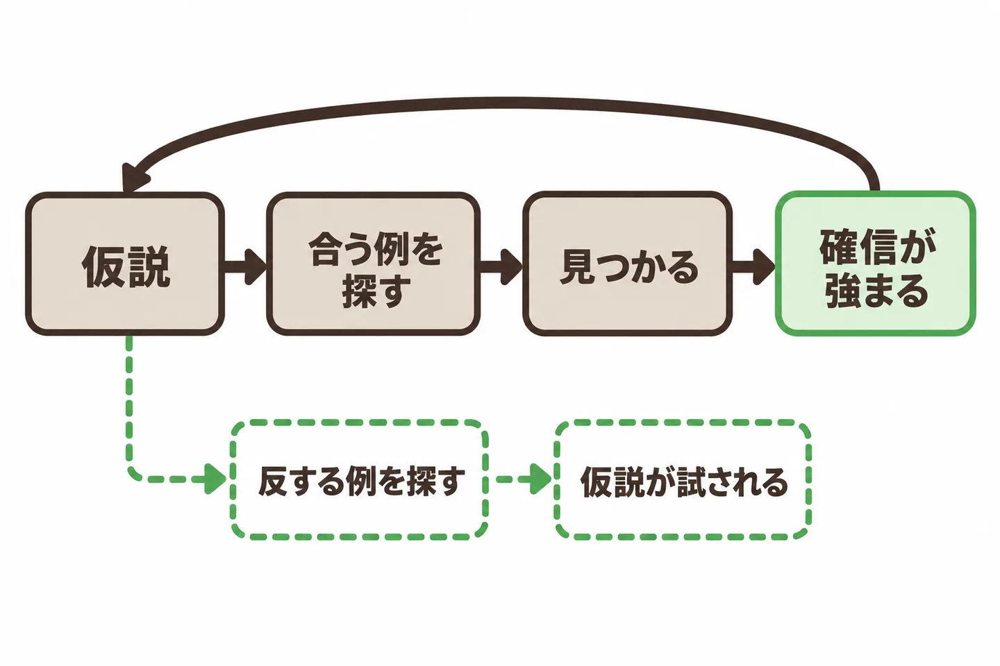 仮説に合う例を探す流れは確信を強めて仮説に戻るだけで、反する例を探す流れだけが仮説を試すことを示した図
